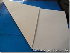 snow flake craft 04