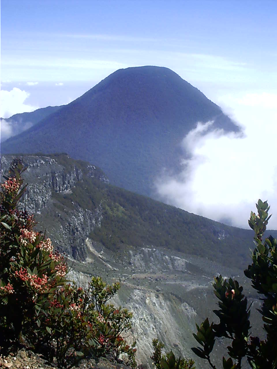 Rental Tenda Kemping Trip Gunung Gede Pangrango Rental Tenda Kemping Trip Gunung Gede Pangrango