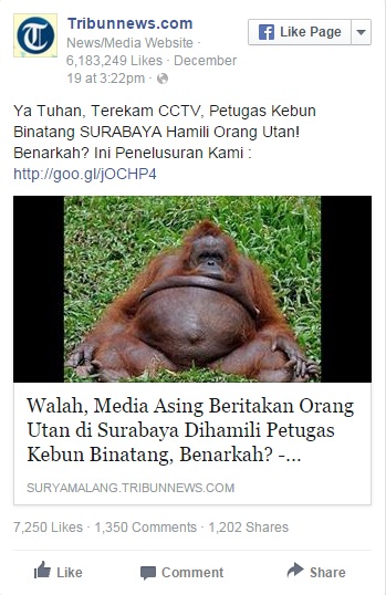 Lelaki Hamilkan Orang Utan Sebenarnya Kisah Palsu