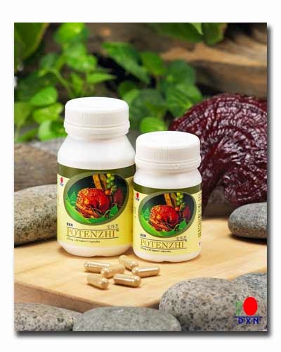 DXN Potenzhi Male Sexual Tonic Supplement