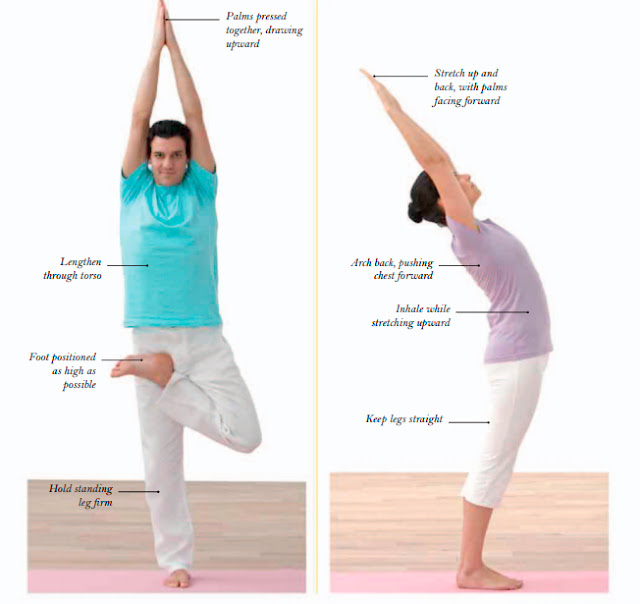 Yoga for Increasing Vitality & Nurturing the Nervous System 