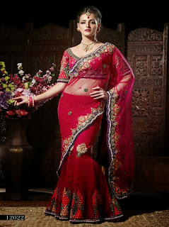 Ravishing Dastkati Sarees 2013-2014-13