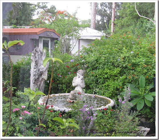 06-16-secret-garden-jungle