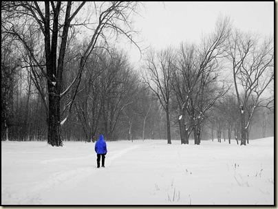 By the Ottawa River