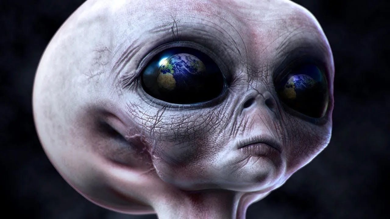 Objections and Counterarguments to the Search for Extraterrestrial Life