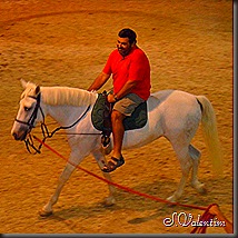 SAM_1770
