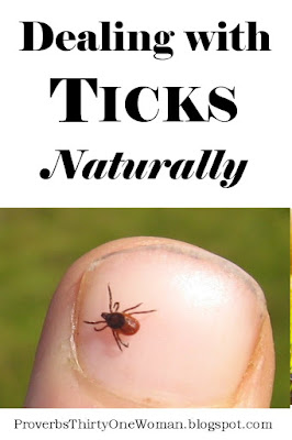 How to Naturally Deter Ticks