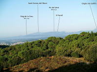 Vista de les muntanyes del Vallès des de la zona de vinyes