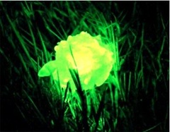 kryptonite
