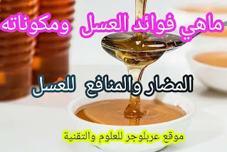 فوائد العسل للرجال والنساء وأضرار العسل للرجال والنساء والأطفال