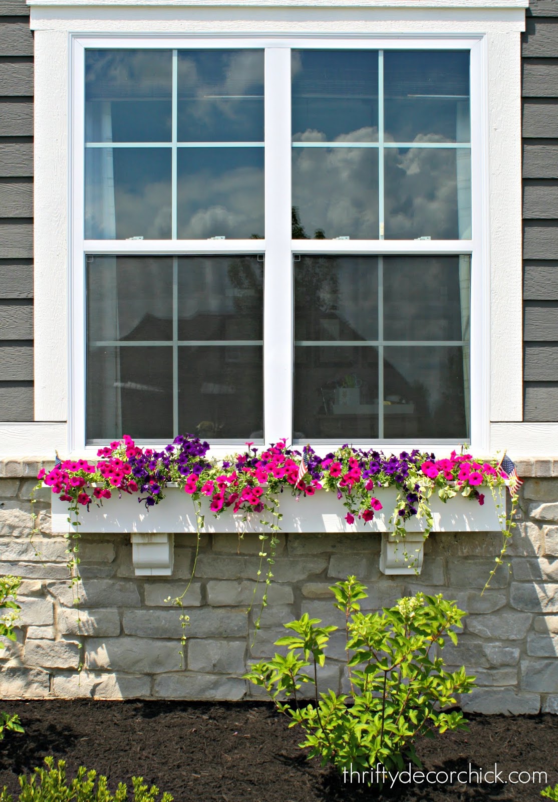 colorful petunias in window box