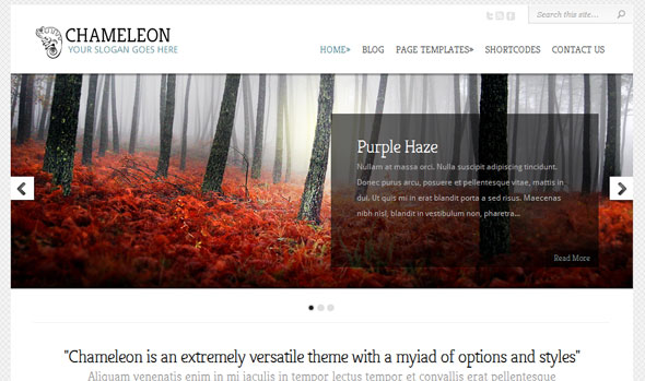 Chameleon Wordpress Theme Free Download by ElegantThemes.