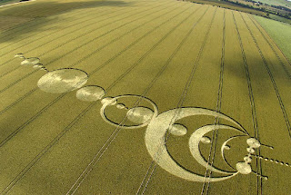 Fenomena Crop Circle Lingkar Tanaman Pola Unik