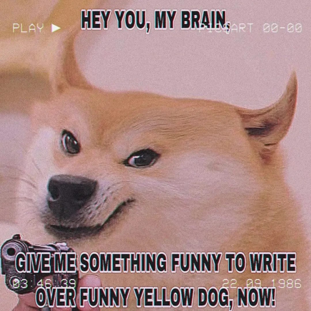 English Doge memes