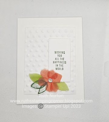 translucent florals, stampin up