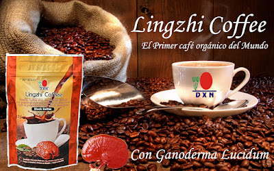 El CAFÉ LINGZHI es la combinación perfecta de extracto de Ganoderma y el café