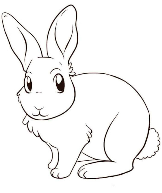 Free  Rabbit Colouring Pages Printable Download