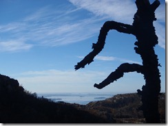 PA090059