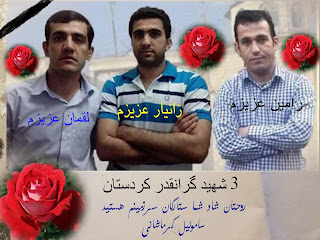 We condemn illegal executions against Ramin Hossein Panahi, Zanyar Moradi and Luqman Moradi.