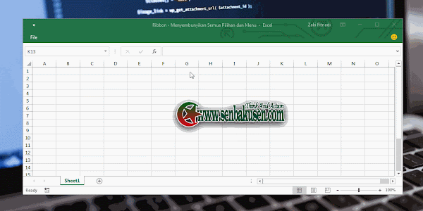 Cara Menyembunyikan Semua Tab Menu dan Office Button Di Excel