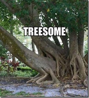 treesome