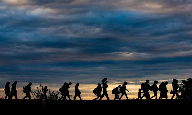  Refugiados caminando por la vía del tren tras cruzar la frontera de Serbia a Hungría, con la esperanza de llegar al corredor que, a través de Austria, conduce a Europa occidental