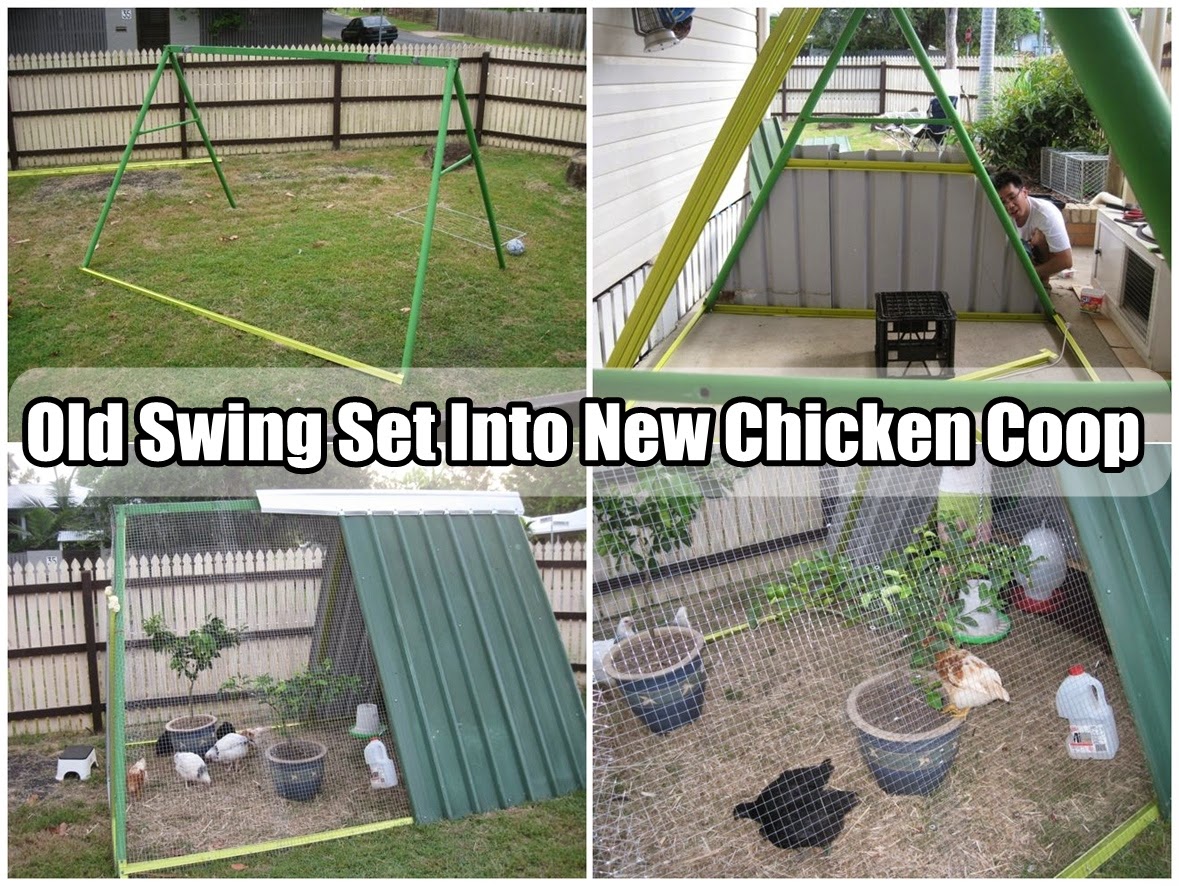 Chicken Coops Swing Set
