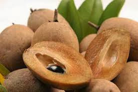 BENEFITS OF SAPODILLA FOR BODY HEALTH