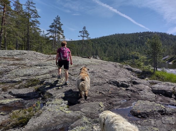 hallingdal flå turufjell stolpejakt