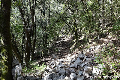 Puig de Sant Marc per les balmes d'Uja