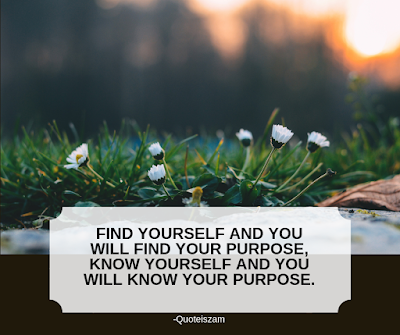 Find yourself and you will find your purpose, Know yourself and you will know your purpose.