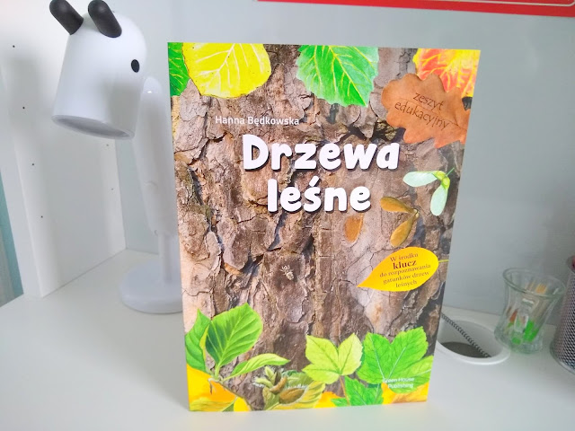 Drzewa leśne - pasja odkrywania