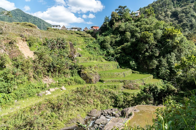 Pula-Région de l'Ifugao-Luçon-Philippines