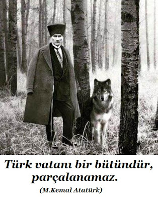 Türk vatanı bir bütündür, parçalanamaz, M. Kemal Atatürk, günün sözü, özlü sözler, anlamlı sözler, güzel sözler, orman, bozkurt, vatan, tc, bayrak