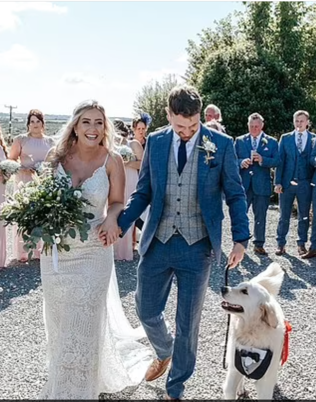 10. Golden Retriever acts as a ring bearer at his owners' wedding