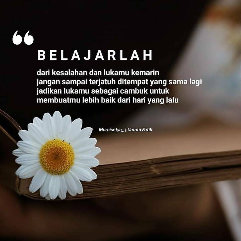 Belajarlah Dari Kesalahan Kemarin-Quote Hari Ini - Quote Hari Ini