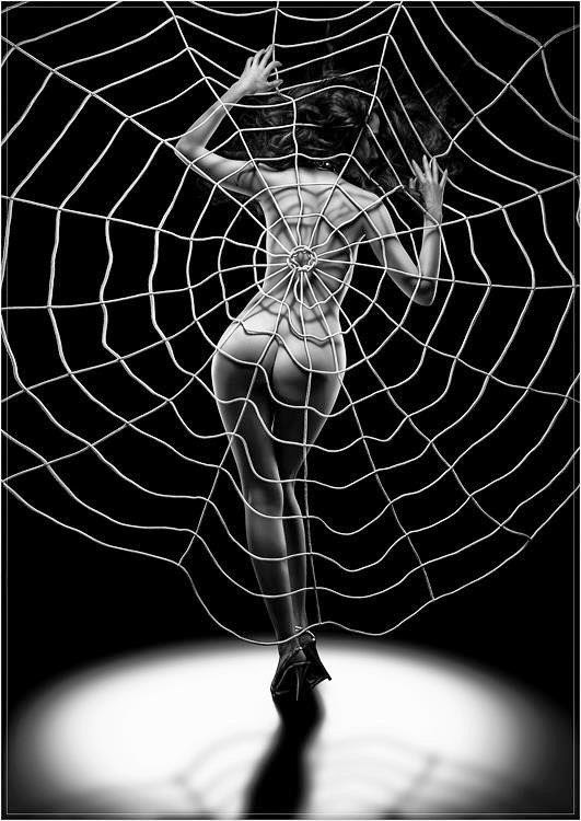 Nude In Spiderweb