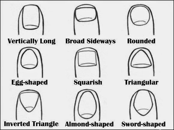 WHAT DOES YOUR NAIL SHAPE SAY ABOUT YOUR PERSONALITY?  NAILED IT!