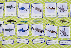 Sharks Themed Unit: 3 Part Cards