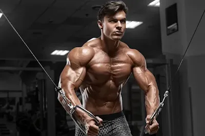 alat gym untuk memperbesar otot dada