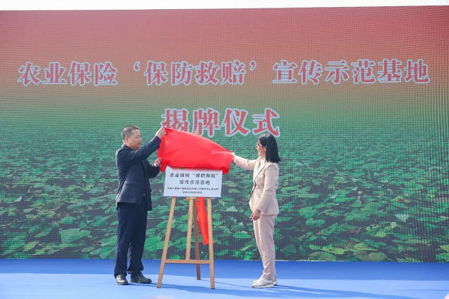 The 2024 Zhaoqing Sweet Potato Industry Development and Tasting Conference will be held in Dinghu