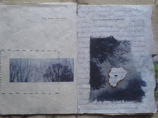 double page spread of book (whole is approx A4), showing torn and burnt black and white images of trees, with text and black stitching.  Text reads 'they stand rain better' on the left and 'I try to connect the fragments' on the right.  Repeated text also covers page on the right: I try so hard to understand.  I look at the sky.