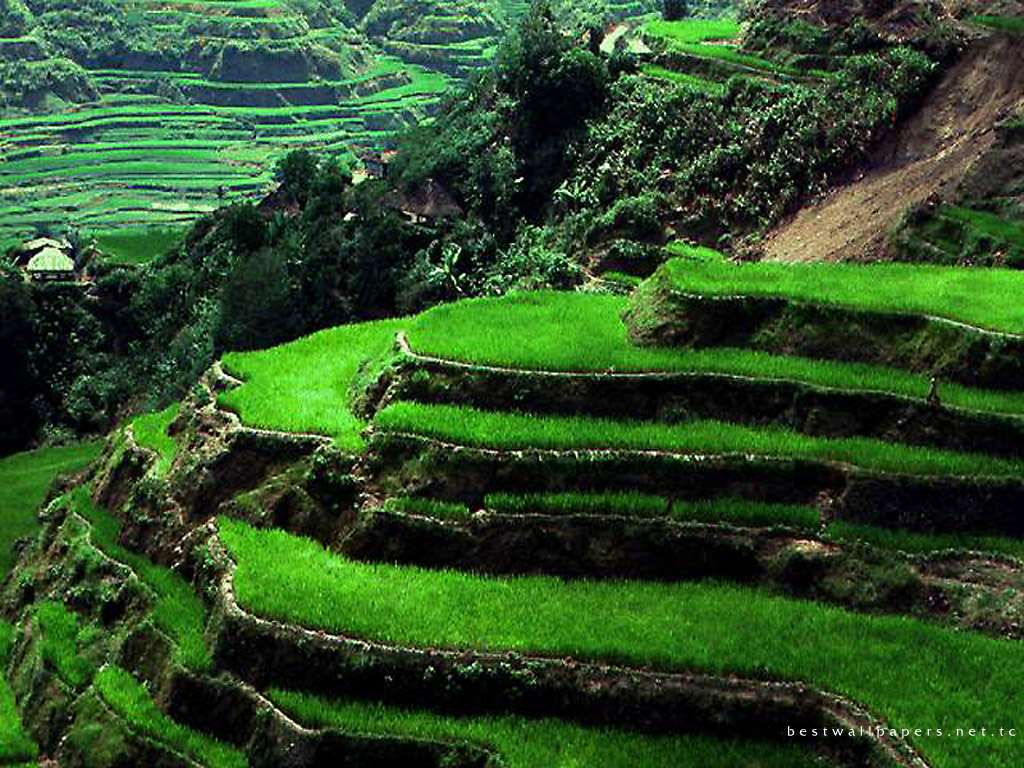 10 Gambar Pemandangan Terindah Di Dieng U2013 Foto Alam Dieng