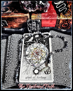 Wheel of Fortune card from The Wild Unknown Tarot