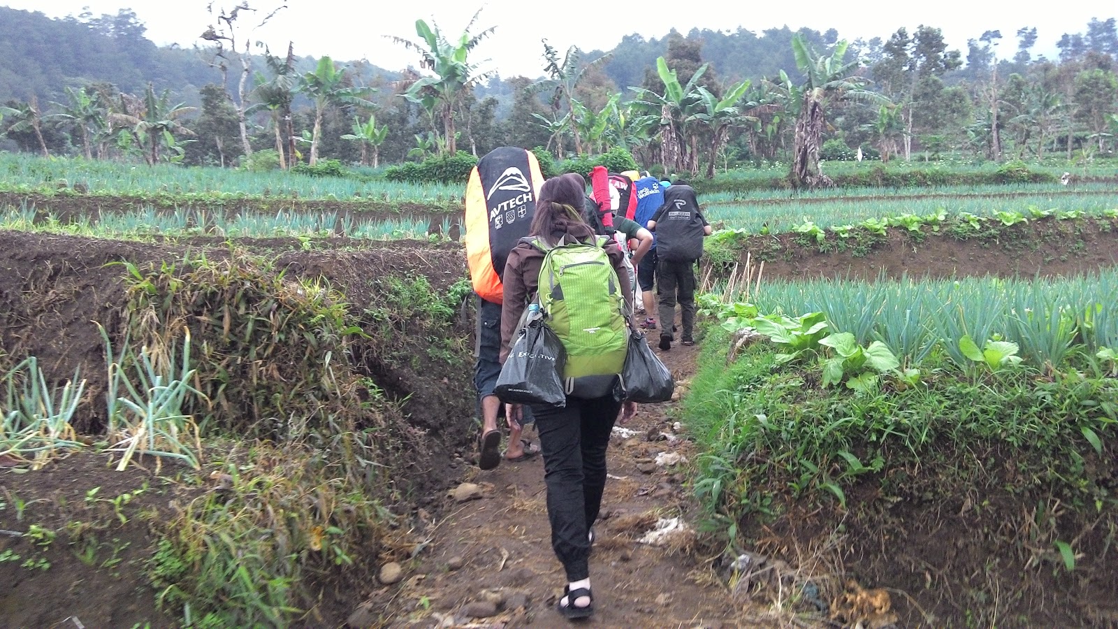 Meraih Puncak Ciremai 3078 MDPL (via Jalur Palutungan)