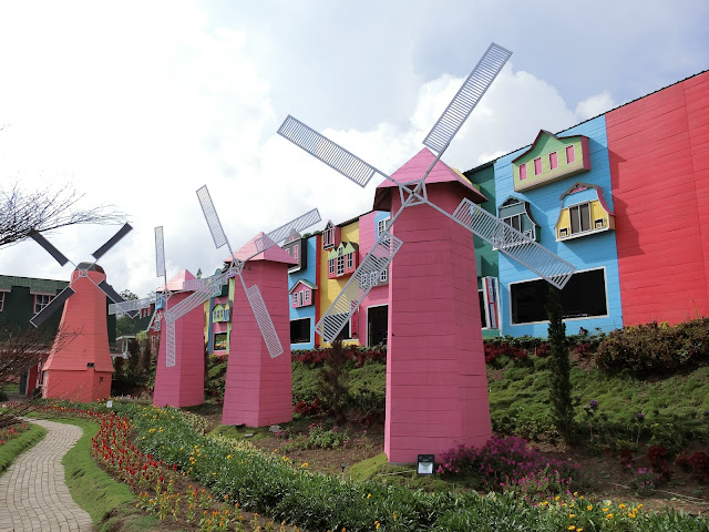 Taman Bunga Celosia Bandungan Semarang - habisliburan.com