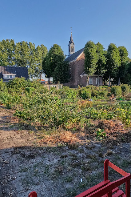 www.jetjesdag.nl | Nicolaas/S fotografie | De zomer is voorbij in de Haarlemmermeer bij Abbenes