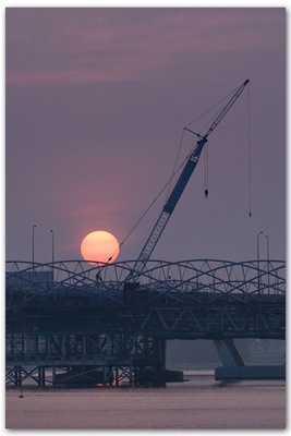 crane-sunrise