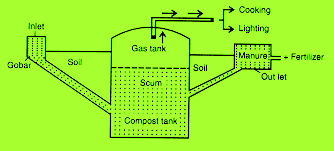 गोबर गैस ईंधन का अच्छा स्रोत 