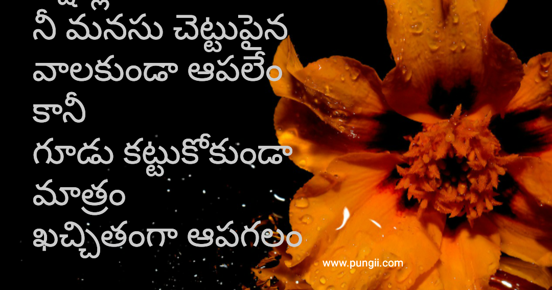 Good morning quotes in telugu and subhodayam images for 